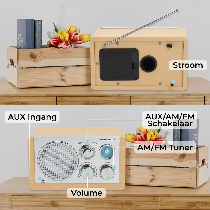 FM radio AUX input Retro design