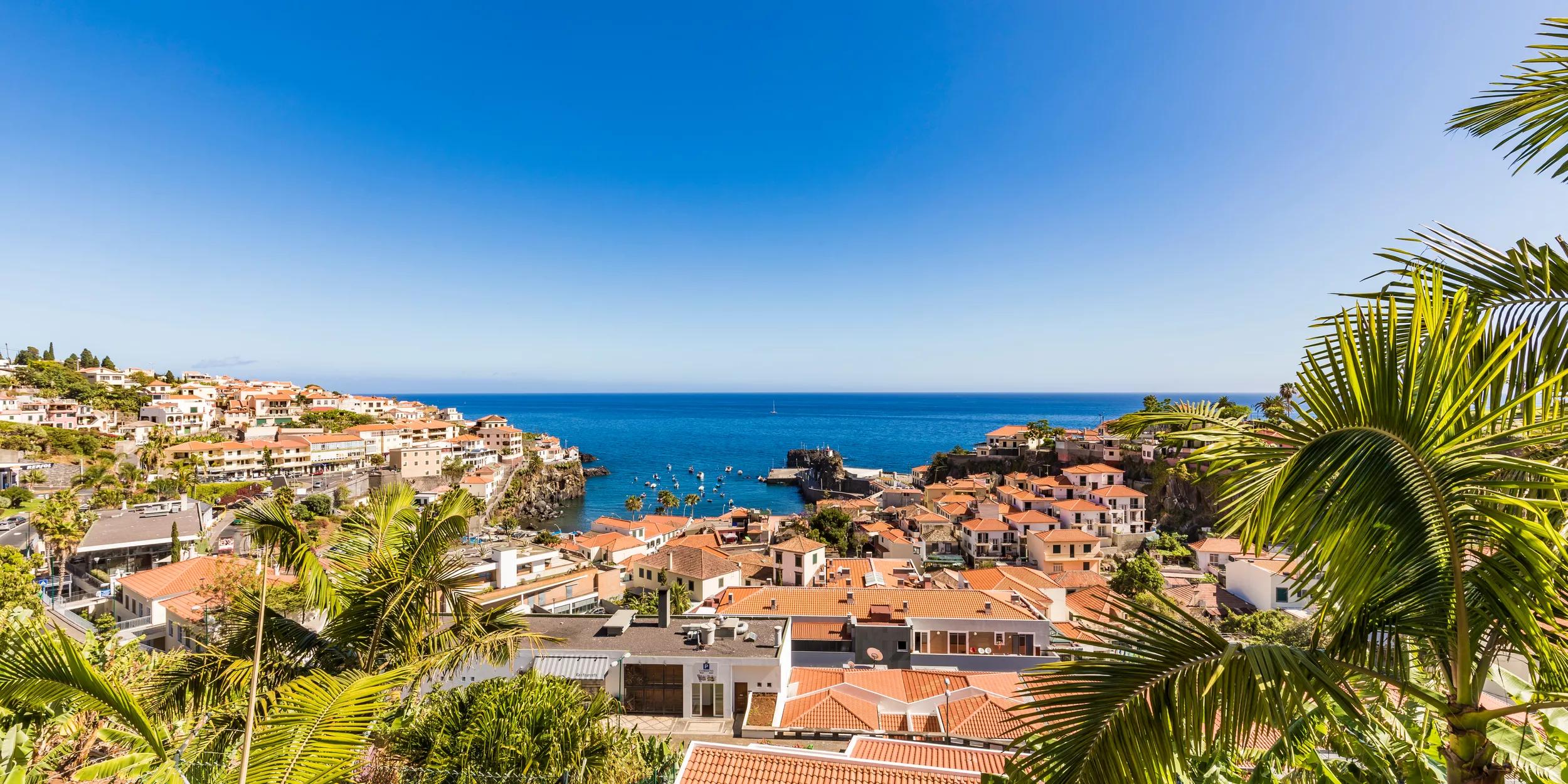 Portugal, Insel Madeira, Câmara de Lobos, Stadt, Stadtansicht, Hafenviertel, Hafen, Palmen