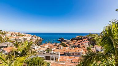 Portugal, Insel Madeira, Câmara de Lobos, Stadt, Stadtansicht, Hafenviertel, Hafen, Palmen