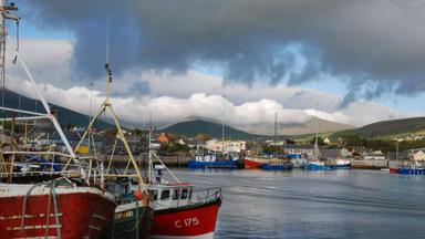 sfeer_ierland_dingle_town_tourism-ireland (1)