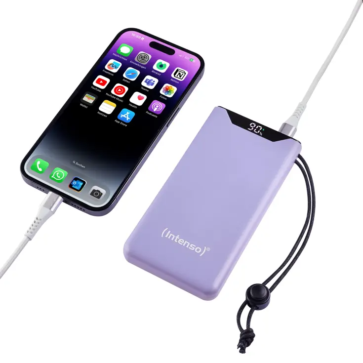 F10000 Powerbank 10.000 mAh