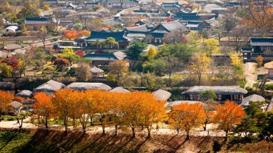 Fox_groepsreis_zuid-korea_Andong_Hahoe_Village_a
