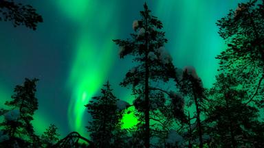 finland_fins-lapland_poolcirkel_rovaniemi_noorderlicht_aurora-borealis_boom_silhouette_sneeuw_getty
