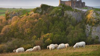 groot_brittannie_wales_brecon_beacons_carreg_cennen_castle_visitbritain