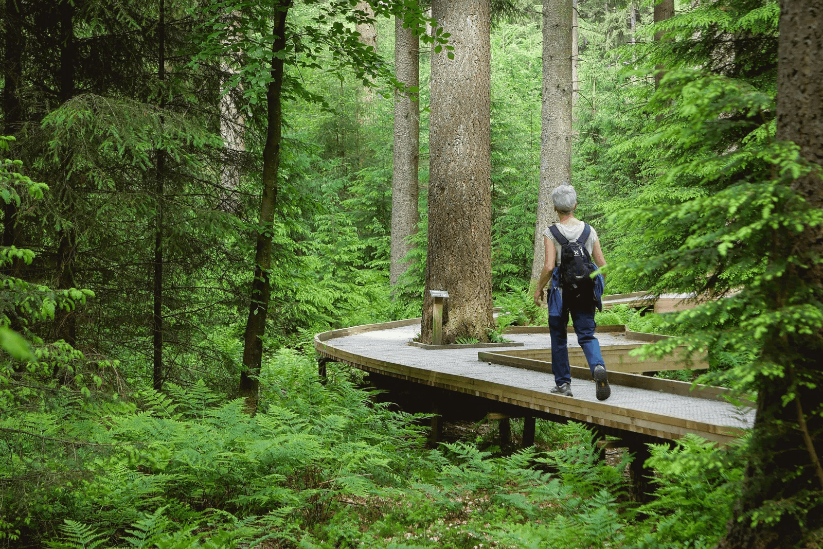 4-daags wandelarrangement Belgische Ardennen afbeelding