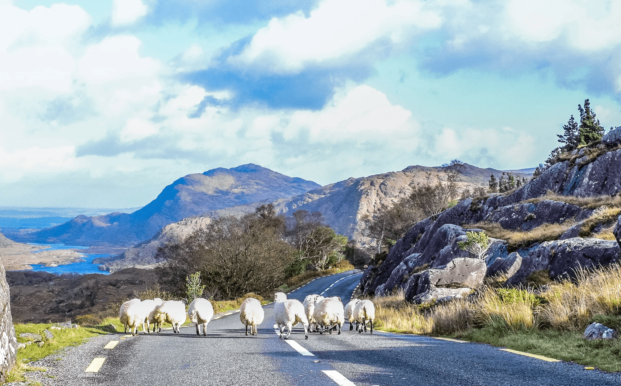 9-daagse fly-drive Zuid en West-Ierland & Dublin - Ierse Geheimen afbeelding