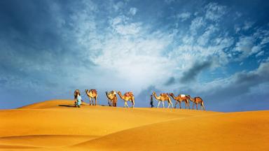 dubai-desert-camel-safari _shutterstock_158060486