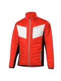 Jas heren Evo Hotbond Primaloft 60