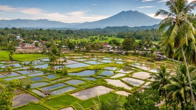 indonesie_sumatra_landschap_rijstvelden_sawa_vulkaan_b.jpg