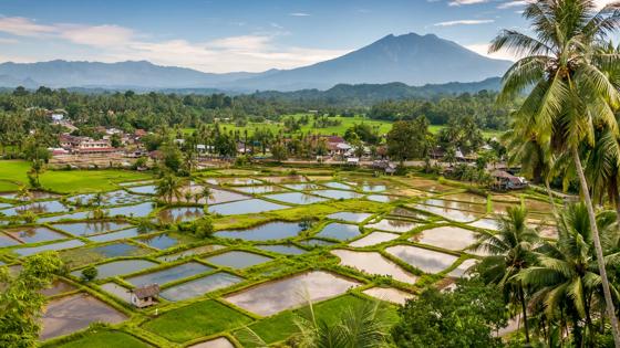 indonesie_sumatra_landschap_rijstvelden_sawa_vulkaan_b.jpg