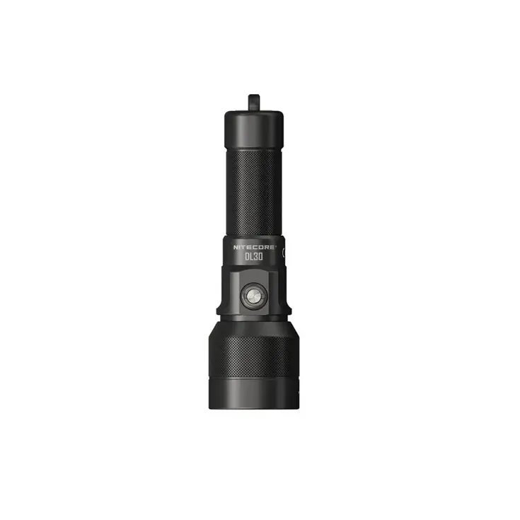 Duiklamp DL30 - 1100 lumen