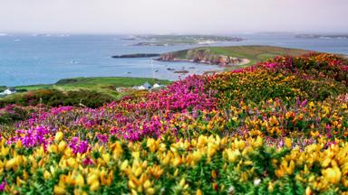 ierland_galway_clifden_kust_bloemen_zee_GettyImages-92508319 (1)