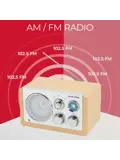 FM radio AUX input Retro design