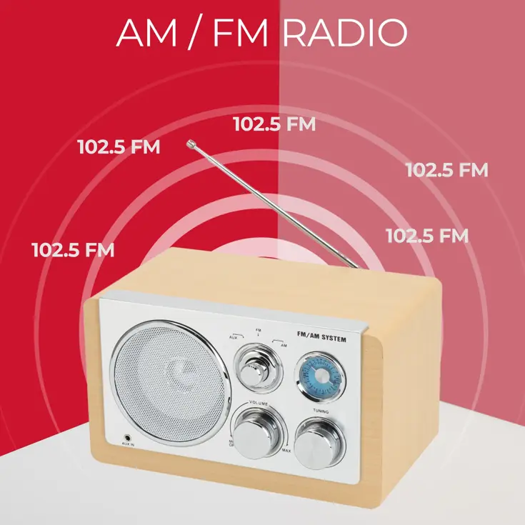 FM radio AUX input Retro design
