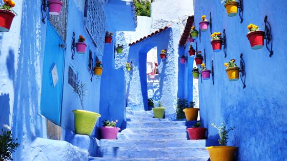 marokko_chefchaouen_blauw_straat_shutterstock_1420539023