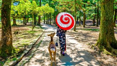 japan_nara_hert_kimono_parasol_vrouw_shutterstock