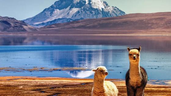 Dit beeld mag alleen gebruikt worden voor en door de business line Reizen. Binnen Reizen mag dit beeld online gebruikt worden en in print tot een oplage van maximaal 500.000.