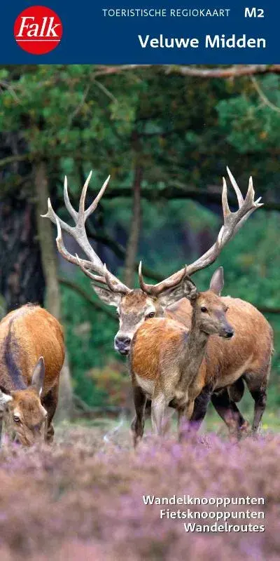 Falk Toeristische Regiokaart van de Midden-Veluwe 