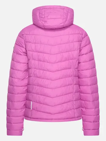 Dolce - Jas dames - Human Nature