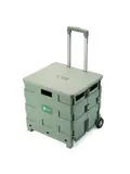 Boodschappenkrat - 50L - Met Deksel