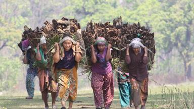 nepal_chitwan_vrouwen-met-draagmand_1_w.jpg