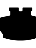 Kofferbakmat Volkswagen Beetle (2011-2019)