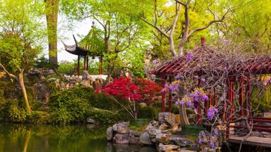 china_suzhou_tuin_vijver_pagode_b