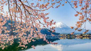Japan, Kawaguchiko meer, Mount Fuji, sakura bloesem - GettyImages-821142402