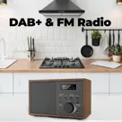 Denver DAB46DG DAB+/FM Radio Wekkerfunctie