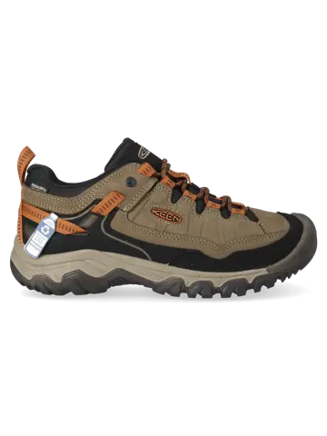 Targhee IV - Wandelschoenen - Heren