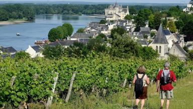 Frankrijk_Saumur_Camping_Huttopia_Saumur_Omgeving