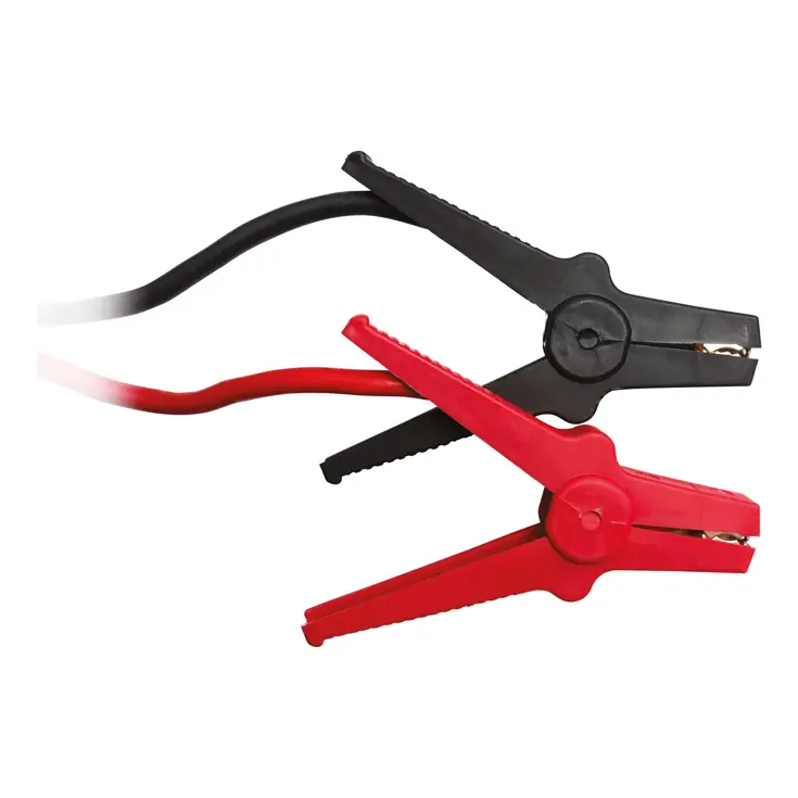 Acculader en Jumpstarter 6V/12V 12A tot 120Ah