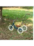 2-in-1 Loopfiets Driewieler met Duwstang