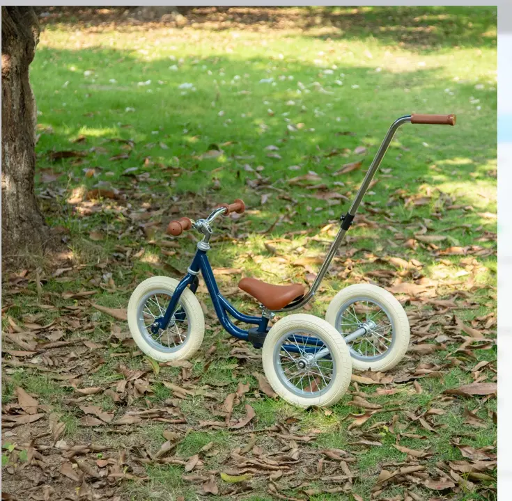2-in-1 Loopfiets Driewieler met Duwstang