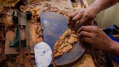 cuba_algemeen_sigaar_rollen_cigar-factory_ambacht_shutterstock