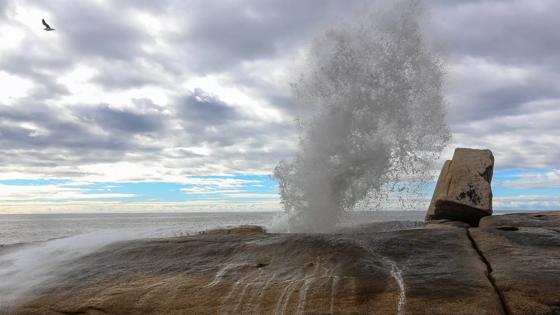 australie_tasmanie_bicheno-blowhole_2_b.jpg