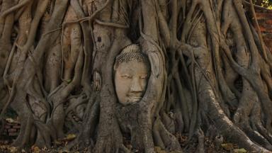 thailand_ayutthaya_wat-mahathat_tempel_hoofd-in-wortels_1_f