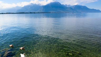 frankrijk_rhone-alpen_meer-van-geneve_bergen-zwanen_shutterstock