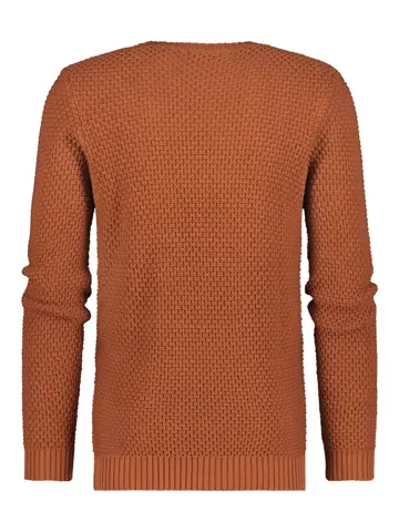 Sinton - Trui heren - Human Nature