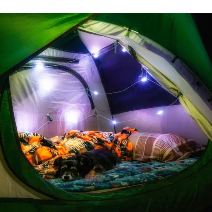 Solar lichtslinger 5,5 meter - Wit en kleur
