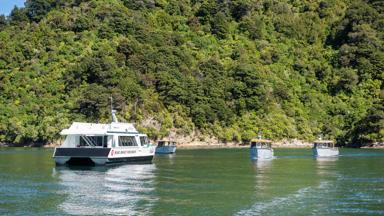 Tiri Cat and Mana Fleet Mailboat