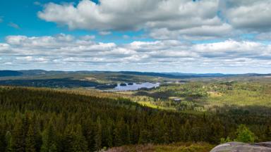 zweden_dalarna_safsen_skigebeid_meer_bos_uitzicht_getty