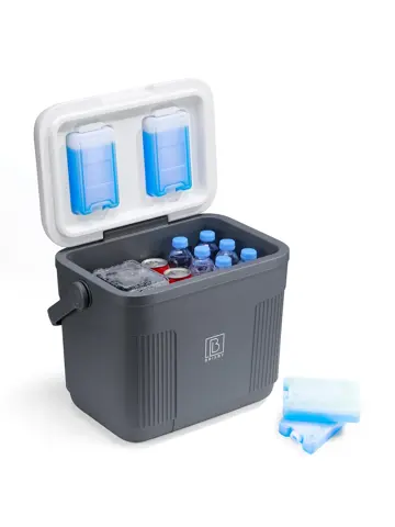 Koelbox - Lunchbox - 22L