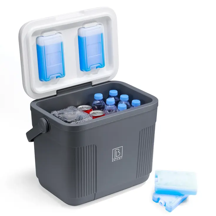 Brisby - Koelbox - 22L