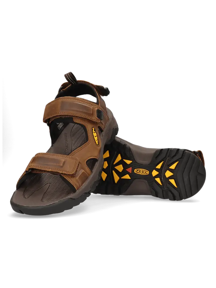 Targhee III - Wandelschoenen - Heren