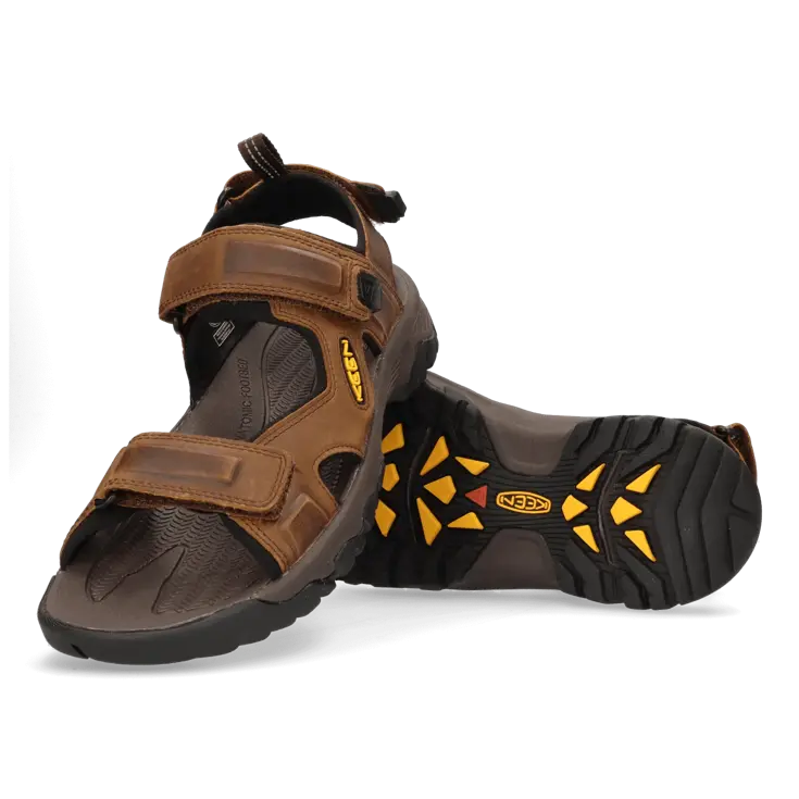 Targhee III - Wandelschoenen - Heren