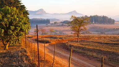 swaziland_mlilwane-wildlife-nature-reserve_weg_mist_boom_bergen_shutterstock 