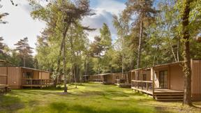 nederland_noord_brabant_hilvarenbeek_lake_resort_beekse_bergen_forest_cabin (8)