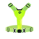 Led Hardloopvest Oplaadbaar - Rogelli