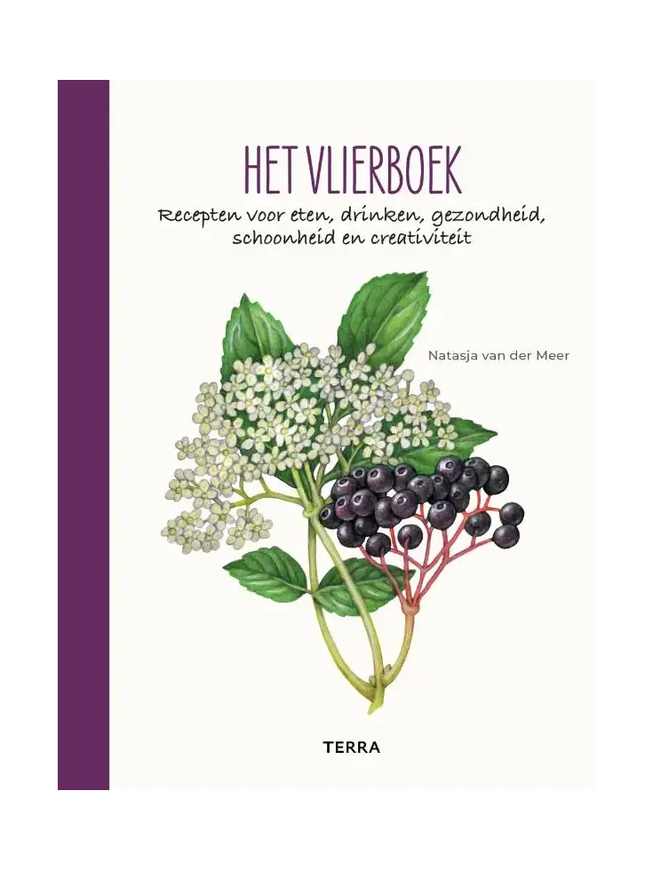 Het vlierboek